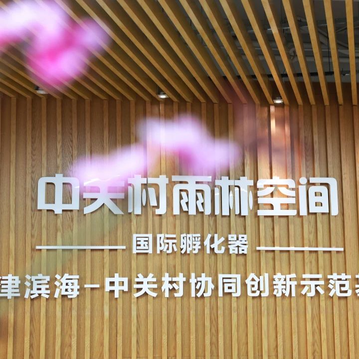 decdb2e240bd6eb9754f355628d39371.jpg
